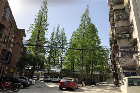 阳光河畔套三三楼/5101/26车83万3室2厅1